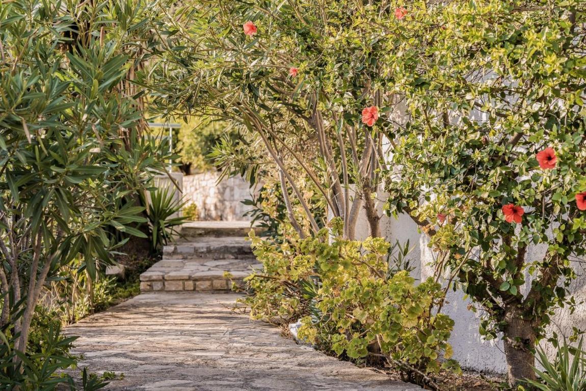 Vigla-Βίγλα 1 2 Villa Ormos  Exterior photo